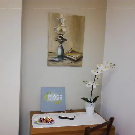Bed & Breakfast Mimosa 3*