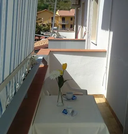 Mimosa