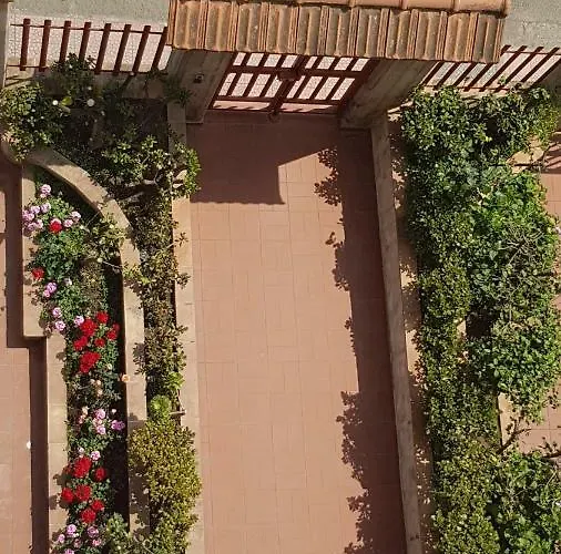 Mimosa Bed & Breakfast