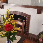 Mimosa Giardini-Naxos