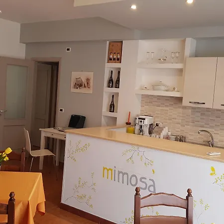 Mimosa جيارديني ناكسوس