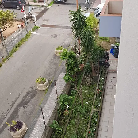 Mimosa 住宿加早餐酒店