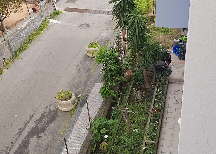 Mimosa Bed & Breakfast