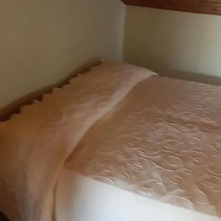 Mimosa جيارديني ناكسوس