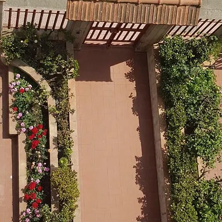 Mimosa Bed & Breakfast