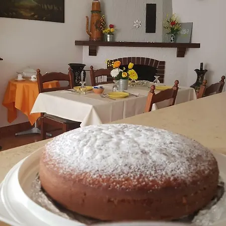 Mimosa Bed & Breakfast